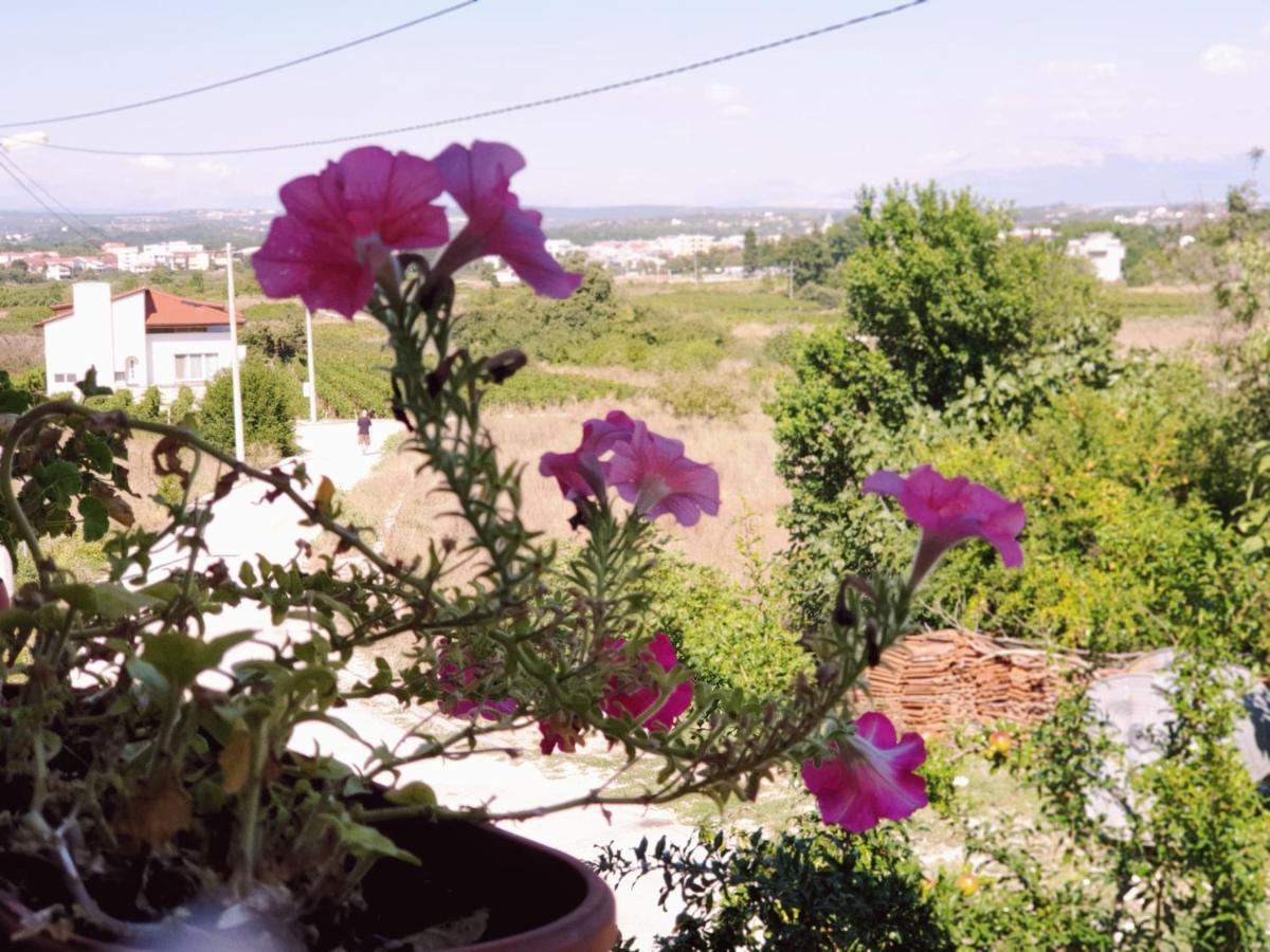 Apartmán Delia Međugorje Exteriér fotografie